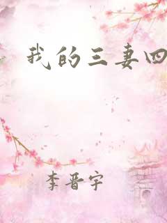 我的三妻四妾