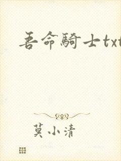 吾命骑士txt