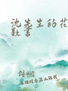 沈先生的花式调数书