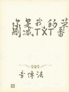 你是我的荣耀未删减TXT番外