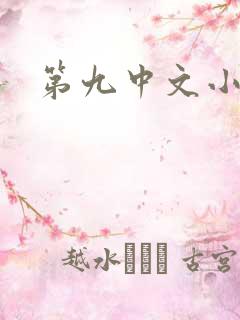 第九中文小说网