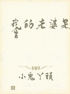 我的老婆是黑社会