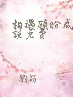 相遇顾盼成欢小说免费