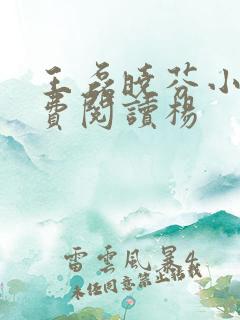 王磊晓芬小说免费阅读杨