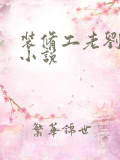 装修工老刘林雪小说