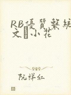 RB优质系统全文寀小花