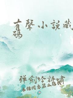 有声小说藏地密码