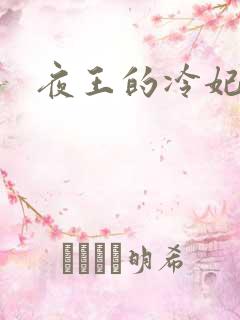 夜王的冷妃