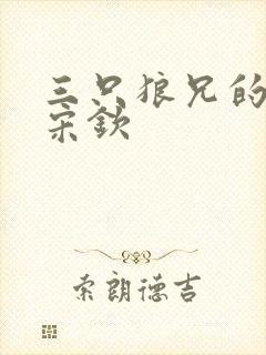 三只狼兄的宠妻宋钦