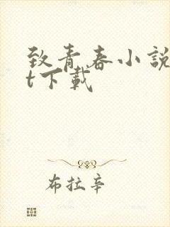 致青春小说txt下载