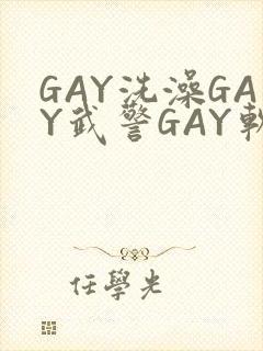 GAY洗澡GAY武警GAY软件