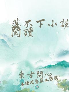 落不下小说全文阅读
