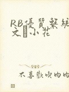RB优质系统全文寀小花