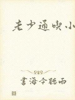 老少通吃小说