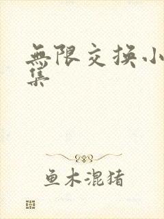 无限交换小说全集
