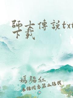 师士传说txt下载