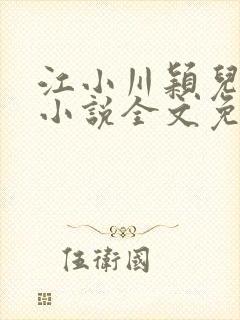 江小川颖儿穿越小说全文免费阅读