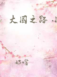 大国之路 小说