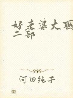 好老婆大联盟第二部