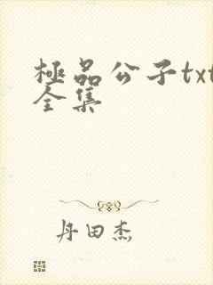 极品公子txt全集