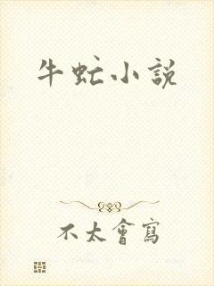 牛虻小说