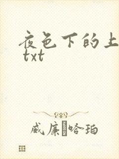 夜色下的上海滩 txt