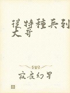 从特种兵到黑道大哥