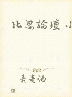 比思论坛 小说