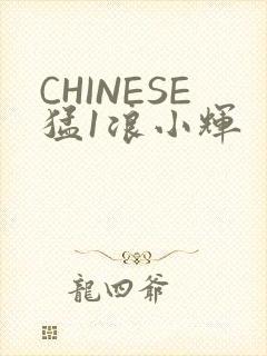 CHINESE猛1浪小辉
