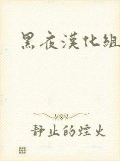 黑夜汉化组