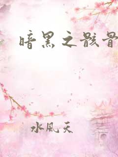 暗黑之骸骨君王