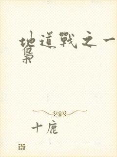 地道战之一代功枭