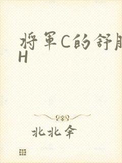将军C的舒服么H