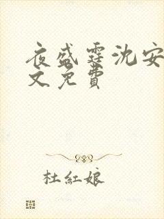 夜盛霆沈安然全文免费