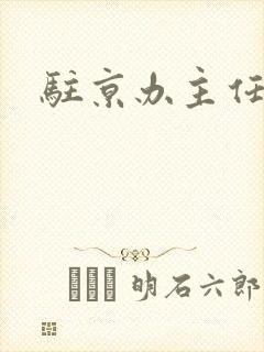 驻京办主任对手