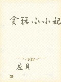 贪玩小小妃