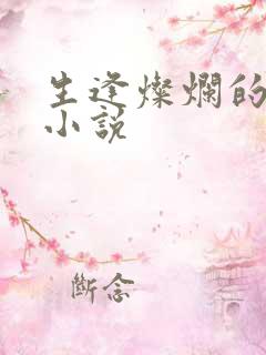 生逢灿烂的日子小说