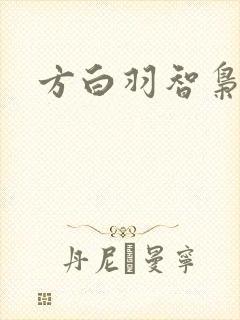 方白羽智枭
