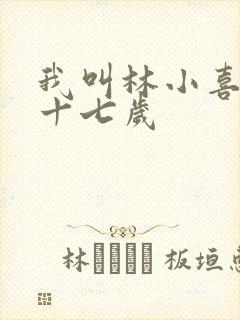 我叫林小喜今年十七岁
