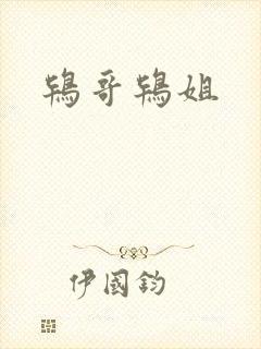 鸨哥鸨姐