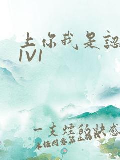 上你我是认真的1V1