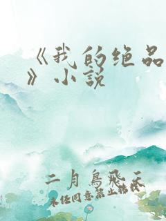 《我的绝品韵母》小说