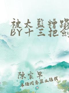 被太监糟蹋之后BY十三把剑