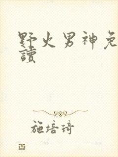 野火男神免费阅读