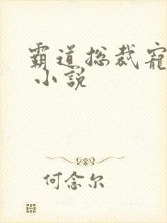 霸道总裁宠上天 小说