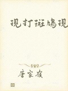 现打斑鸠现钳毛