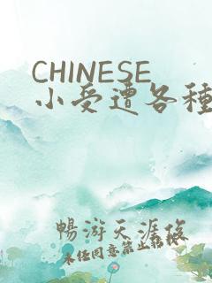 CHINESE小受遭各种打桩