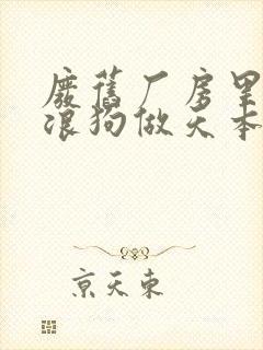 废旧厂房里和流浪狗做天本