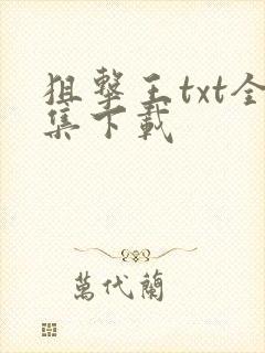 狙击王txt全集下载