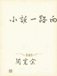 小说一路向西